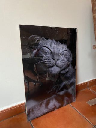 Marco de fotos moderno