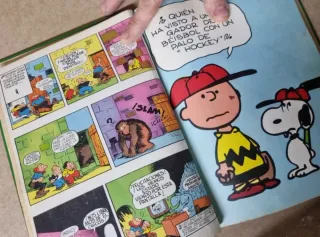 Carlitos y los cebollitas