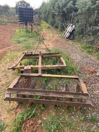 Tractor tipo pascuali Pasquali con gradas.