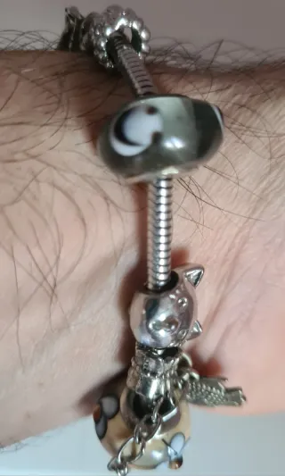 Pulsera estilo Pandora con charms