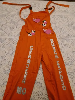 Disfraz Granja Naranja Talla Única