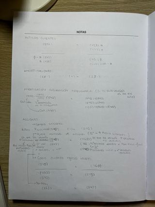 Plan General de Contabilidad y de PYMES: Reales...
