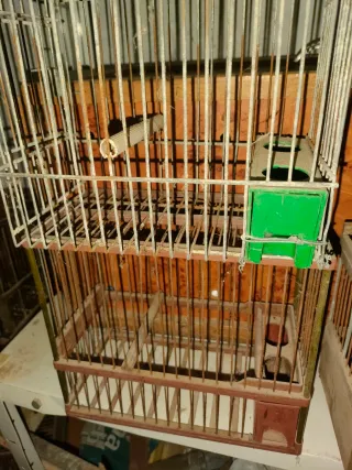 Jaula para pájaros marrón y verde