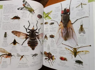 El libro de la naturaleza: La guía visual defin...