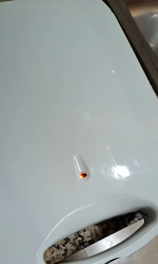 Sandwichera Ufesa 4 porciones