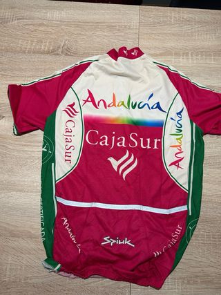 Maillot Ciclismo nuevo sin usar.  Talla L 35€ unid