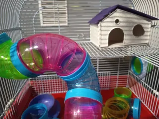 Jaula hámster con accesorios