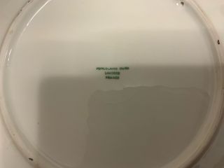 Limoges plato de Porcelana dibujo Santa Claus