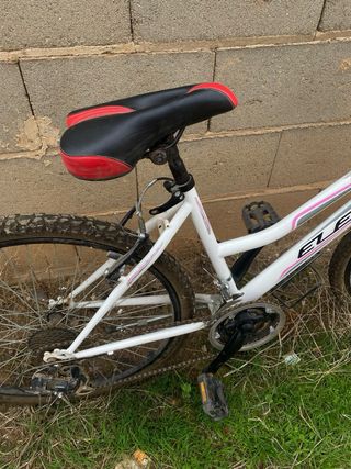 Bicicleta de montaña Eleven