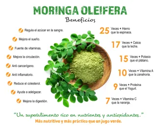 50 Semillas de Moringa Oleifera