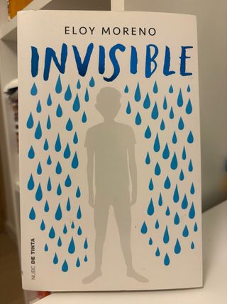 Invisible / Invisible (Spanish Edition)