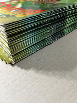 Colección 45 Insectos Reales Resina National Geogr