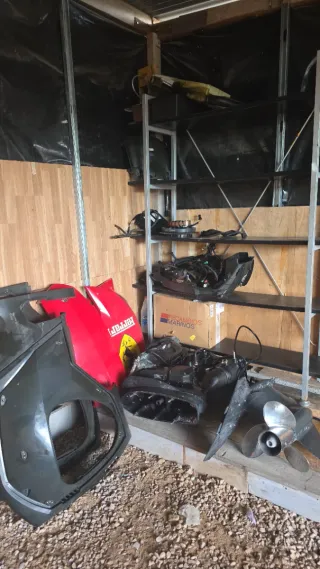 Despiece Evinrude 200 ETEC 2017