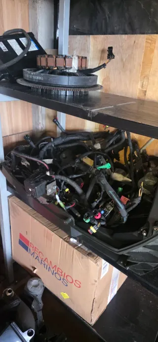 Despiece Evinrude 200 ETEC 2017