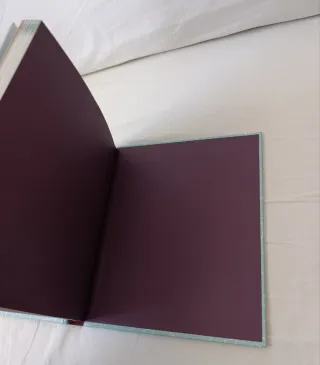 Libro " Embarazada  ¿Y ahora que? " NUEVO