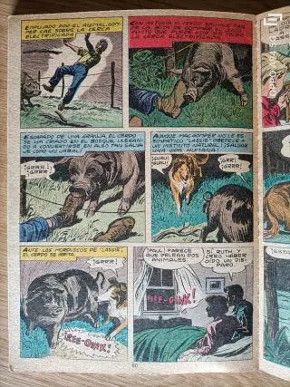 Cómic: Lassie