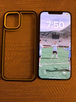 iPhone 12 Pro Max 256GB