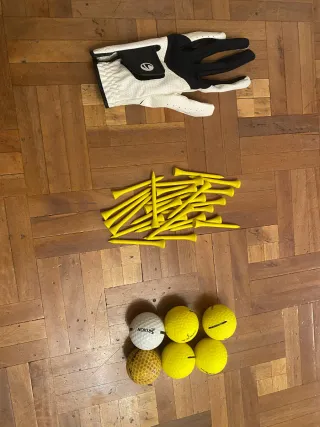 Bolsa y palos de golf