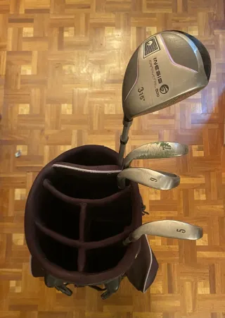 Bolsa y palos de golf