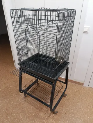 Jaula grande para loro, ninfas