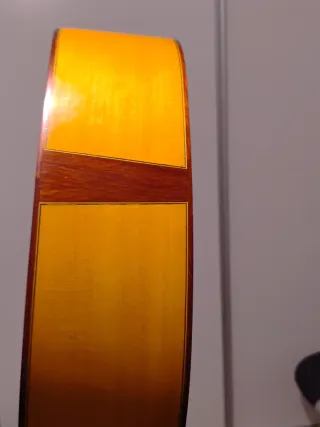 Guitarra Clásica Jesús de Jiménez (2009)