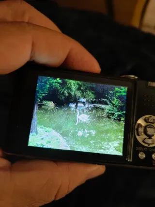 Fotocamera digitale compatta Panasonic Lumix