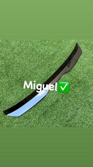 Alerón Universal Negro