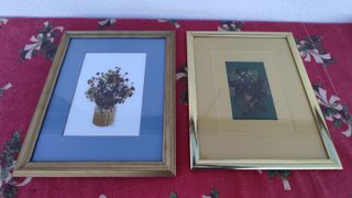 20 cuadros de flores secas con marco cristal