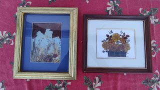 20 cuadros de flores secas con marco cristal