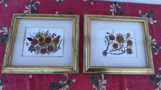 20 cuadros de flores secas con marco cristal