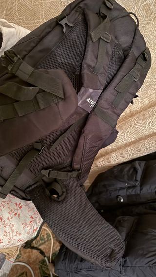 Mochila Trekking Altus Edelweiss 30 Alpina