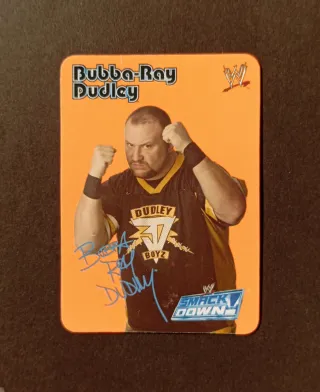 Bubba-Ray Dudley - WWE © 2004