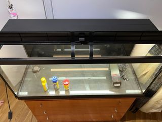 Acuario 160L completo + filtro Eheim