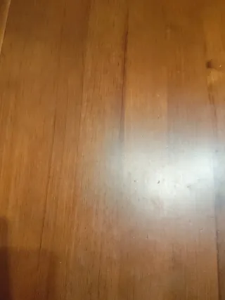 Busco Profesor/a 1 ESO