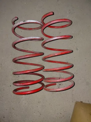 Muelles PSA (Peugeot/Citroën)