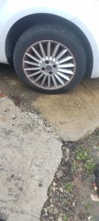 Neumático 195/55R16 Radial Tubeless