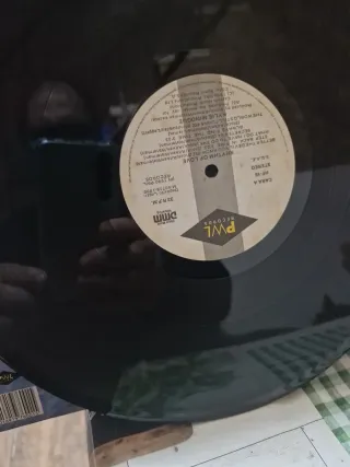 Vinilo Kylie Rhythm of Love