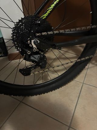 MTB 29 xeris