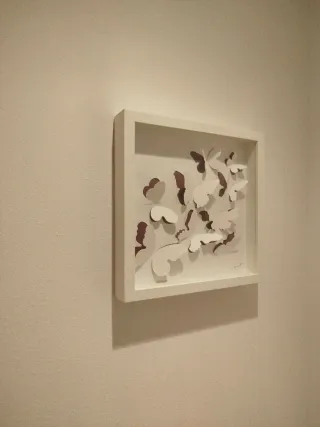 Cuadro mariposas 3D