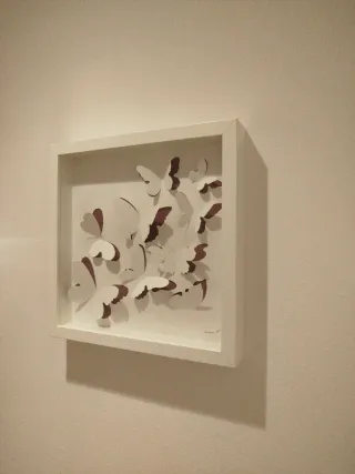 Cuadro mariposas 3D