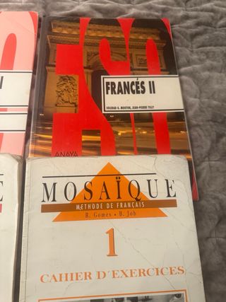 Lote 9 libros de texto idiomas Francés e Inglés
