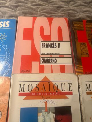 Lote 9 libros de texto idiomas Francés e Inglés