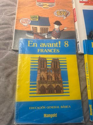 Lote 9 libros de texto idiomas Francés e Inglés