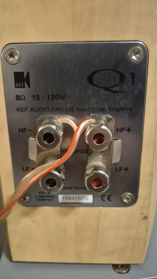 Altavoces KEF Q1 color Haya