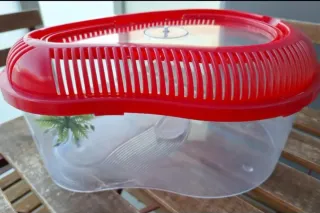 Pecera Tortugas Plástico Transparente