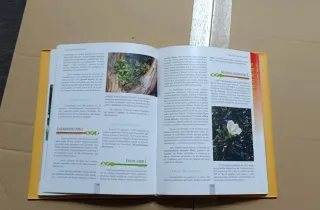 Árboles y Arbustos de Cantabria