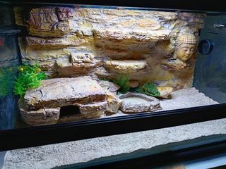 Decoración artesanal para terrarios