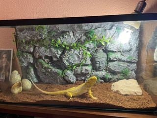 Decoración artesanal para terrarios