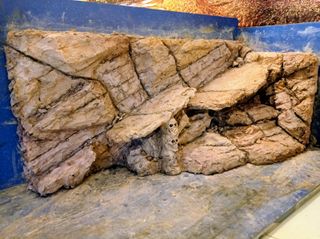 Decoración artesanal para terrarios