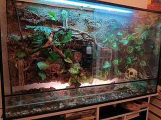 Decoración artesanal para terrarios